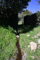 Incendio sierra de la culebra 