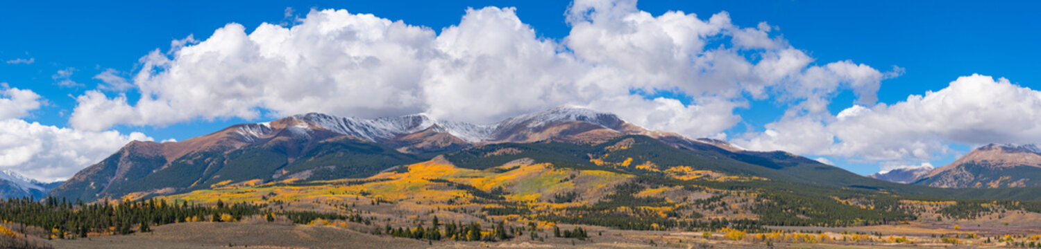 Panoramic image of the Colorado landscape as autumn causes the aspen trees to turn the colour of gold; Colorado, United States of America