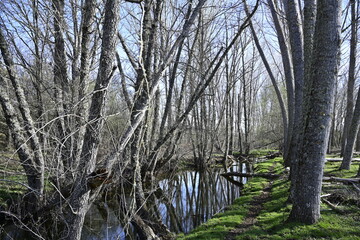 Incendio sierra de la culebra 