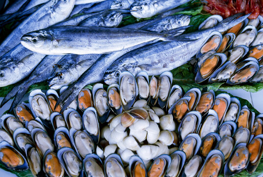 Clams and fish at a fish market; Malta