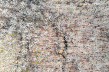 Aerial View - Gelendzhik, Russia