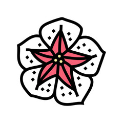 petunia flower spring color icon vector illustration