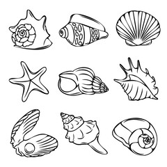 Collection of vector seashells and stars.