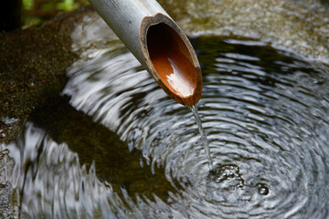 春の三千院　庭園の手水鉢　京都市左京区大原