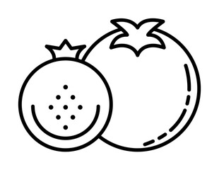 tomato dusk style icon illustration on transparent background