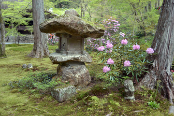 春の三千院　庭園の石灯篭とわらべ地蔵　京都市左京区大原