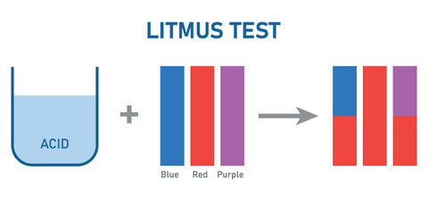 Acids cause blue litmus paper to turn red. Scientific vector illustration isolated on white background.