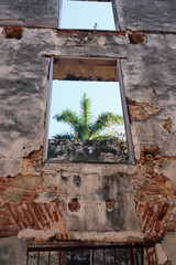 Antique Dilapidated Stone and Brick Wall with Open Window and Green Palm