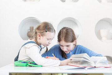 Fototapeta premium Cute sisters studying together at home. Education and relationship concept