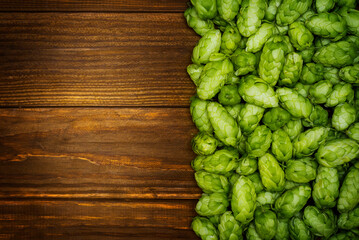 Beer brewing ingredients, green hop cones on a wooden table