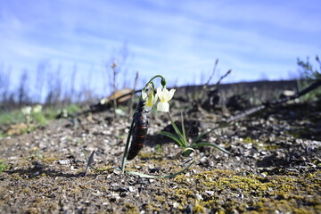 ruta por villardeciervos