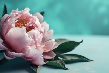  a pink flower with green leaves on a blue surface with a blue background and a green leaf on the left side of the flower, and a pink flower on the right side of the.  generative ai