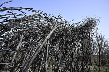 ruta por villardeciervos