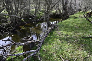 ruta por villardeciervos