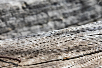 Grunge wood texture and background