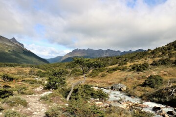Fototapeta na wymiar landscape of Tierra del Fuego en route to Laguna Esmeralda in late summer