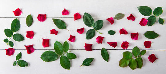 Red rose petals and green rose leaves on a white background. Wide photo.