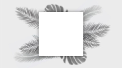 Tropical leaf shadow for mockup: paper sheet with plant shadows. Display product and layout. Lighting on minimal white wall scene