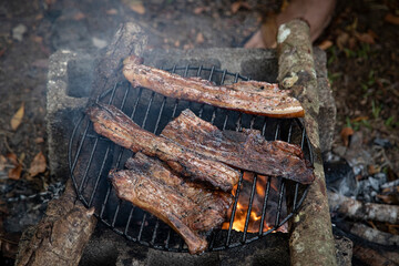 Pork ribs grilling on a block grill and wood logs outdoors. Barbecue in the countryside