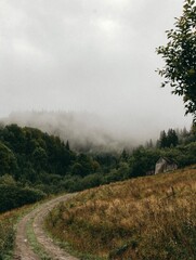 горные облака