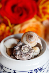 A bowl with sea shells, flowers in the background.