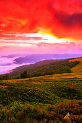 Fototapeta na wymiar summer foggy scenery, scenic sunset view in the mountains, Carpathian mountains, Ukraine, Europe