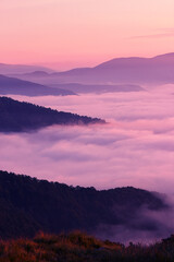 summer foggy scenery, scenic sunset view in the mountains