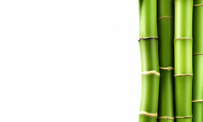 Fototapeta na wymiar Fresh bamboo isolated on white background. Green bamboo sticks decoration. Asian plant generated ai