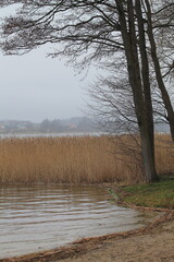 lake in Tuchomek Poland