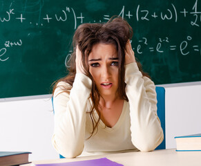 Young female math teacher in front of chalkboard