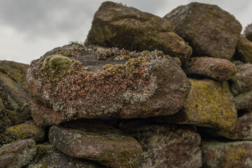 Close up of Gritstone rocks with lichen