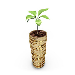Green plant on stack of gold coins