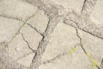 Obraz premium Asphalt, brick, stones and wooden texture. Yellow and green graphic materials 