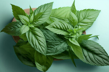 fresh mint leaves