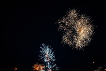 Firework in a dark sky resembling flowers, long exposure, Aarhus, Denmark