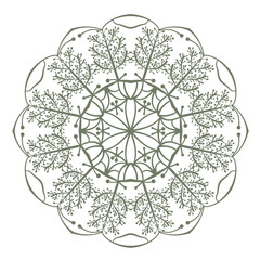 Decorative mandala circular pattern. Elegant round ornament. Vector illustration.