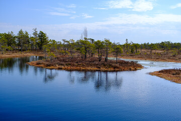 Kemeru swamp, national park with blue lake and trees, and bushes in Latvia with wooden pathway between water, Europe