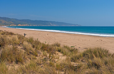 Fototapeta na wymiar Remote Beach on the California Coast
