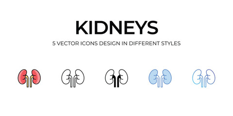 Kidneys Icon Design in Five style with Editable Stroke. Line, Solid, Flat Line, Duo Tone Color, and Color Gradient Line. Suitable for Web Page, Mobile App, UI, UX and GUI design.