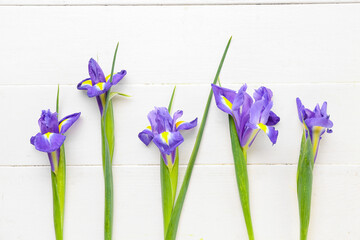 Purple iris flowers on white wooden background