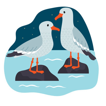A pair of seagulls on stones among sea water. Birds stand against the background of the night sky.Cute animals for printing on fabric and paper.Vector cartoon flat illustration isolated on white .