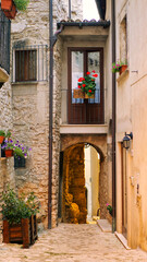 Plants and flowers in pots on narrow streets of the ancient village, Italy