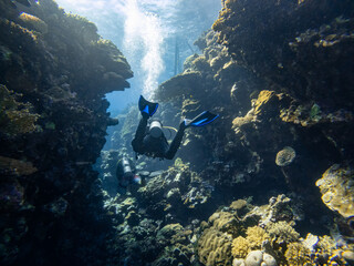 Divers are diving in a coral canyon or cave in the red sea in egypt
