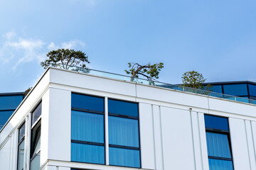 Modern office building. Natural plants on the roof. Architectural details of a modern office building.