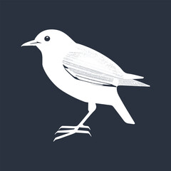 whit bird vector nice look,pj