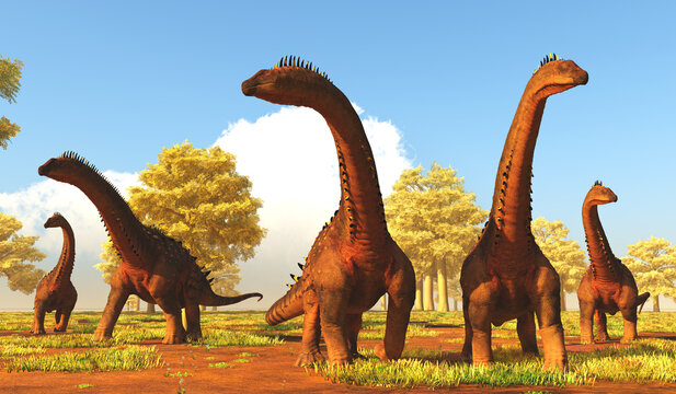Alamosaurus Dinosaur Herd - A herd of Titanosaurs called Alamosaurus dinosaurs forage among forest trees.