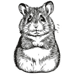 hamster vector illustration line art drawing black and white hamsters