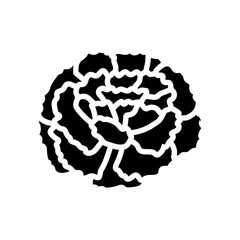 marigold blossom spring glyph icon vector illustration