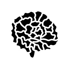 carnation blossom spring glyph icon vector illustration