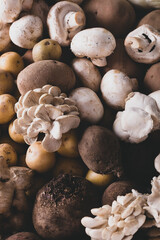 Different group of food food